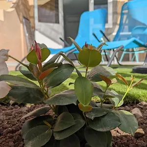 Apartamento Oceano Mare - Tu Casa En Maspalomas, Maspalomas (Gran Canaria)